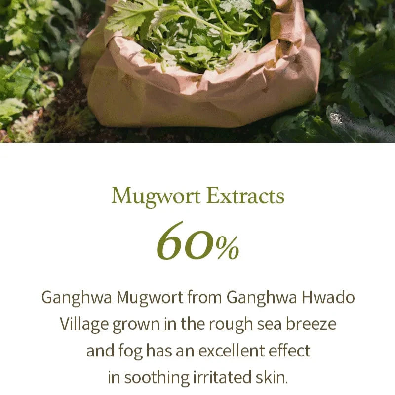 Bag of mugwort extracts with text about its properties and origin.