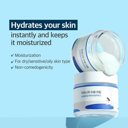 Round Lab Birch Juice Moisturizing Cream (80ml)