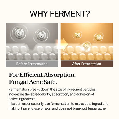 Comparison of ingredient particles before and after fermentation with text explaining the benefits.