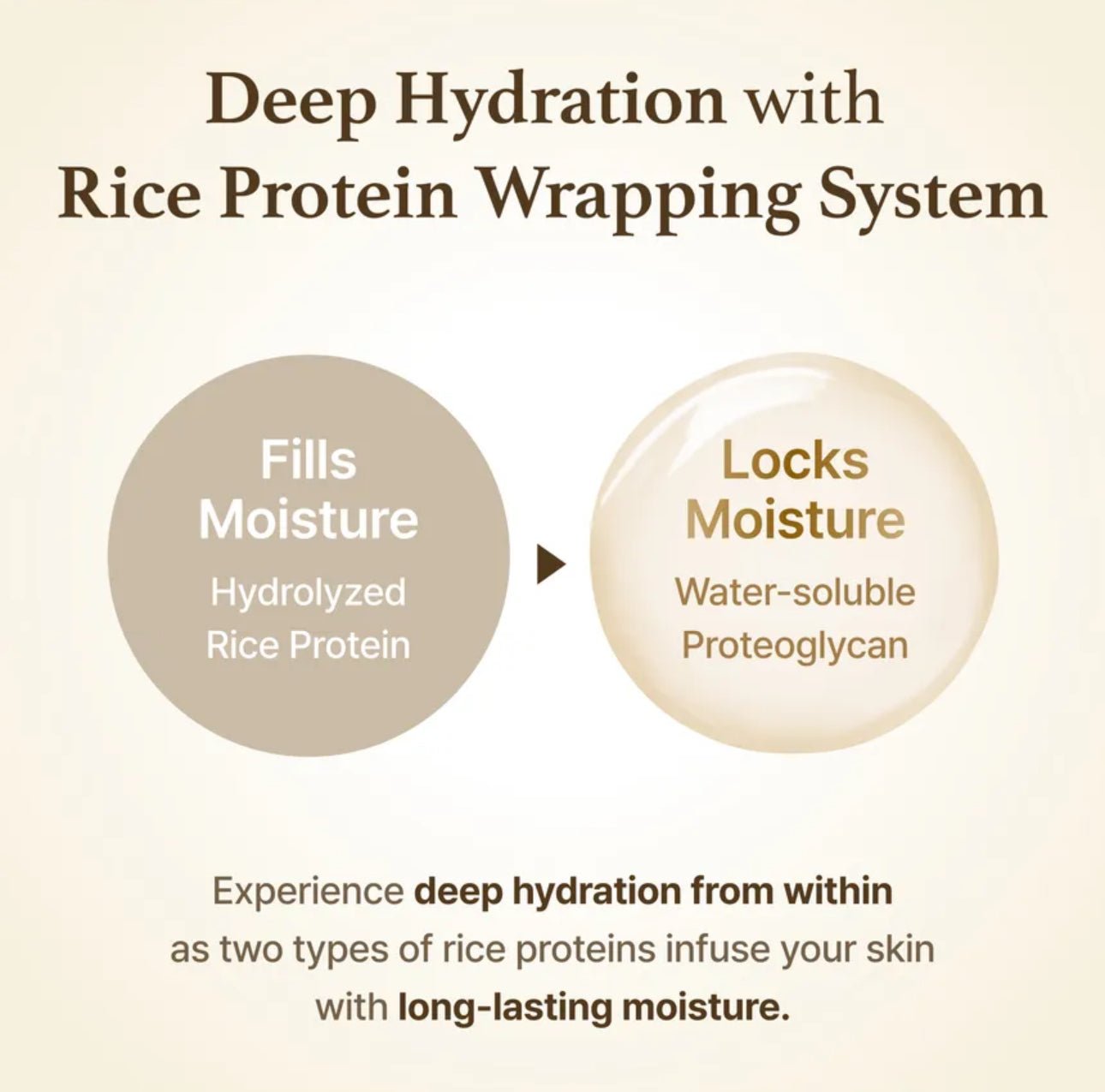 Diagram explaining deep hydration with rice protein wrapping system on a beige background
