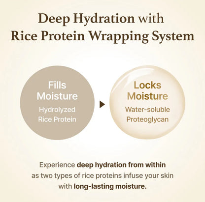 Diagram explaining deep hydration with rice protein wrapping system on a beige background